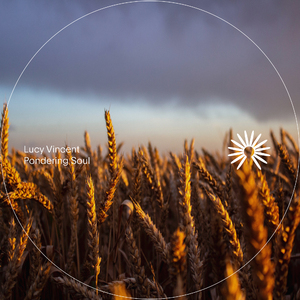 胡连馨提取码13s的获取方式
